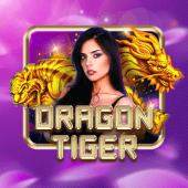 table game 5 live casino Dragon Tiger
